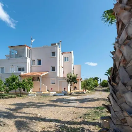 Platon In Kos Town