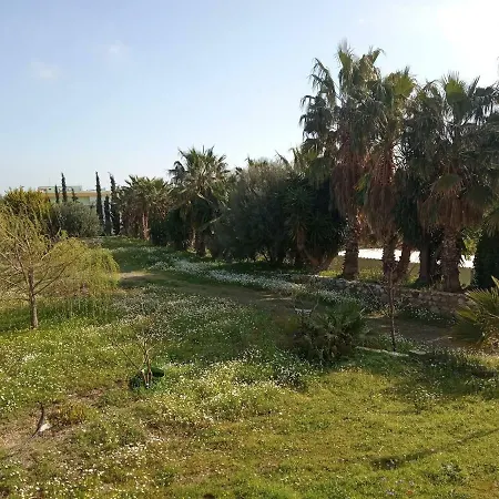 Platon In Apartment Kos Town